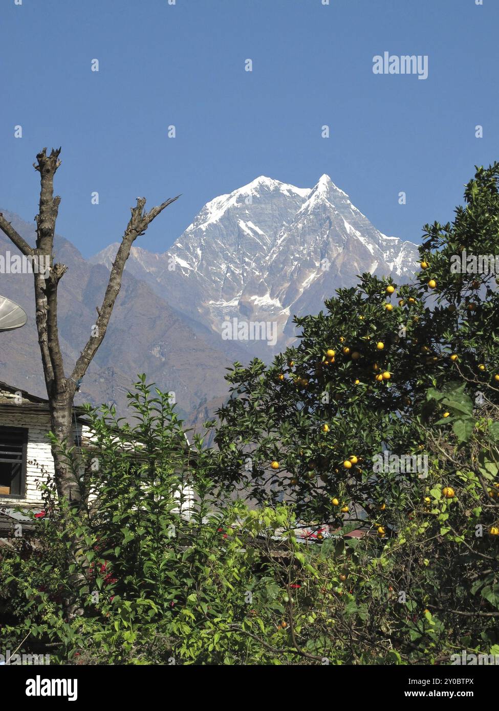 Gipfel von Nilgiri und Orangen, Szene in Tatopani, Nepal, Asien Stockfoto