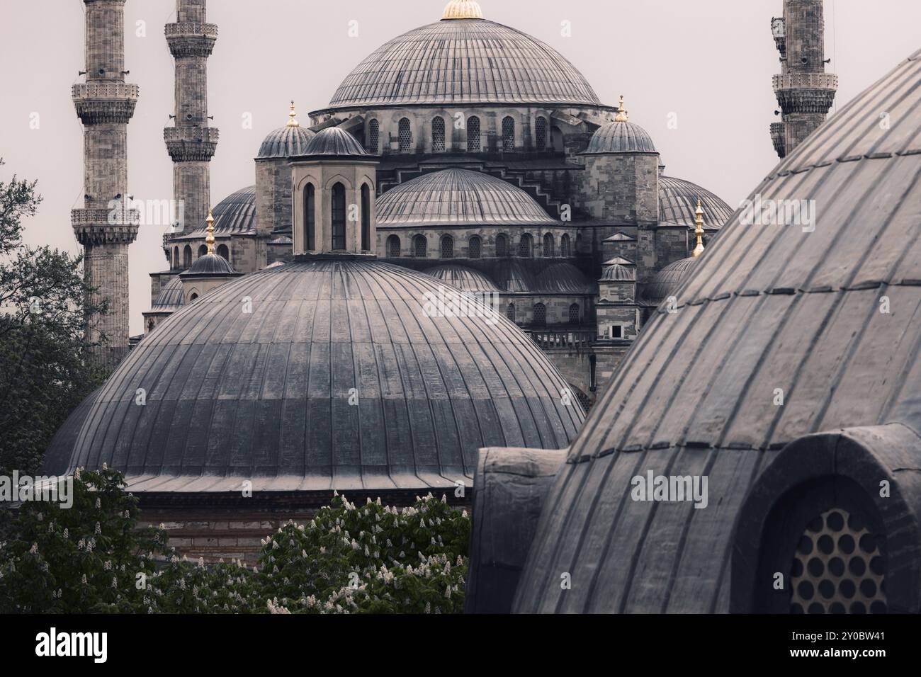 Sultanahmet Blaue Moschee Architektur, Istanbul, Türkei, Asien Stockfoto