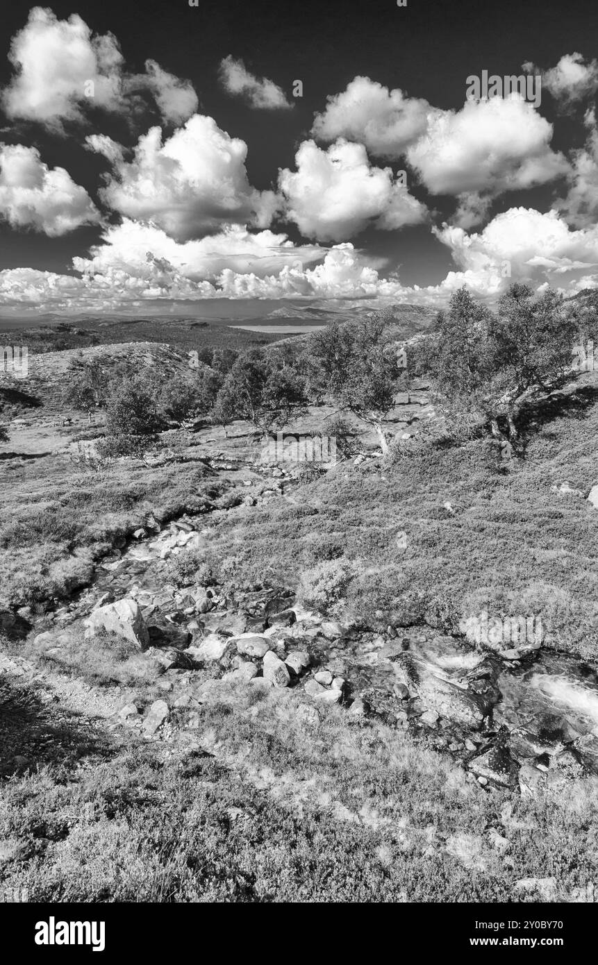 Landschaft im Femundsmarka Nationalpark, Hedmark Fylke, Norwegen, Juli 2011, Europa Stockfoto
