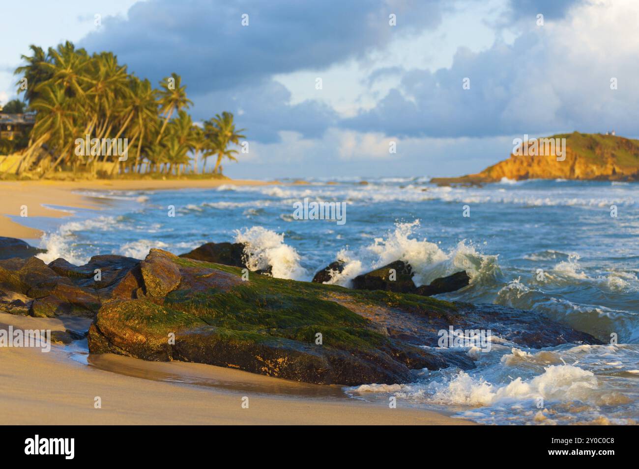 Eine wunderschöne tropische Landschaft mit Wellen, die über einen moosbedeckten Felsen, Palmen und einer Insel direkt vor den rauen Gewässern von Mirissa, Sri Lanka, A, krachen Stockfoto