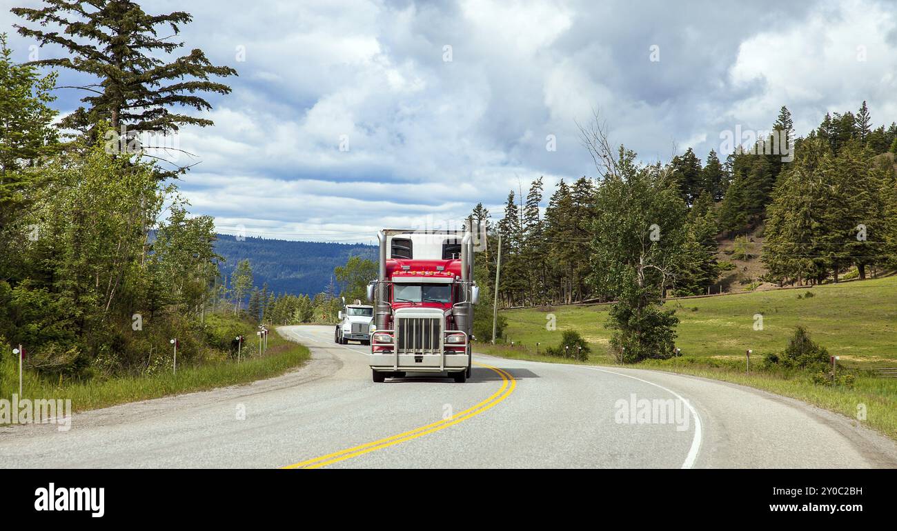 Stapler bei Williams Lake in British Columbia Kanada Stockfoto