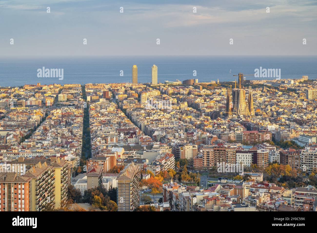 Barcelona Spanien, Skyline von Barcelona mit Blick auf die Stadt von den Bunkern del Carmel mit Herbstlaub Stockfoto