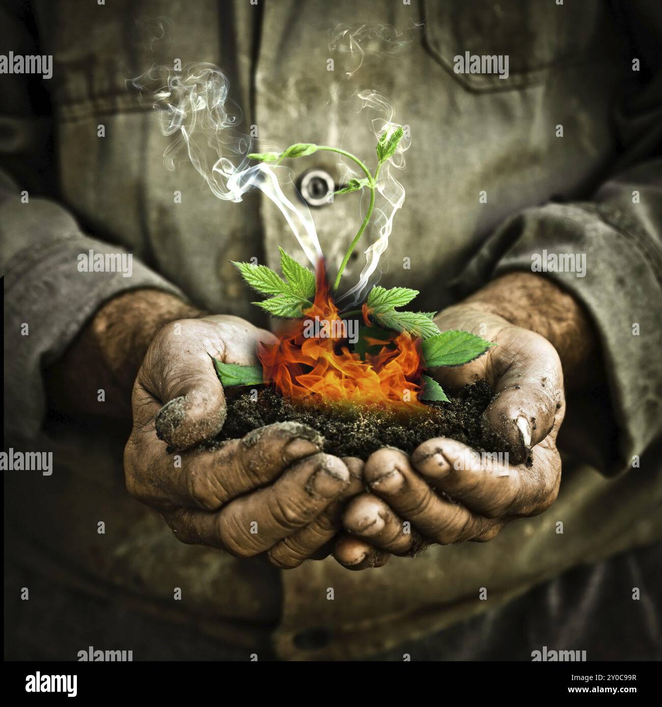 Grüne Pflanze brennt in Menschenhänden. Treibhauseffekt und Klimaerwärmung Stockfoto