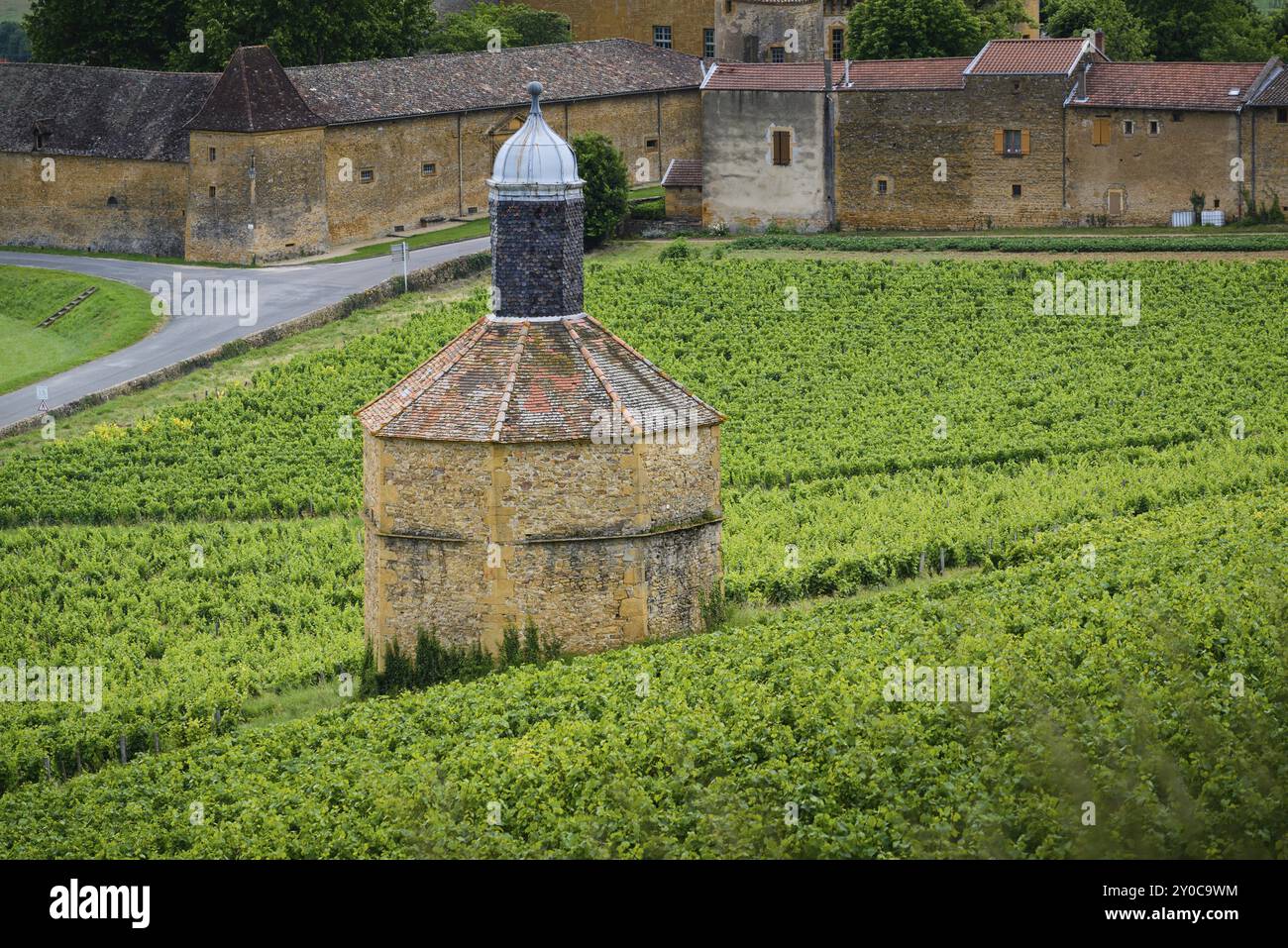 Bagnols Dorf und Landschaft, Beaujolais, Frankreich, Europa Stockfoto