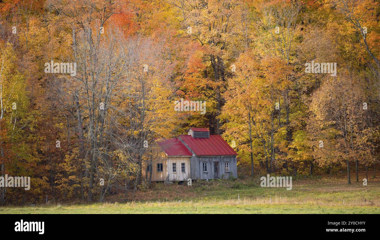 Alte Farm in Kanada unter bunten Bäumen Stockfoto