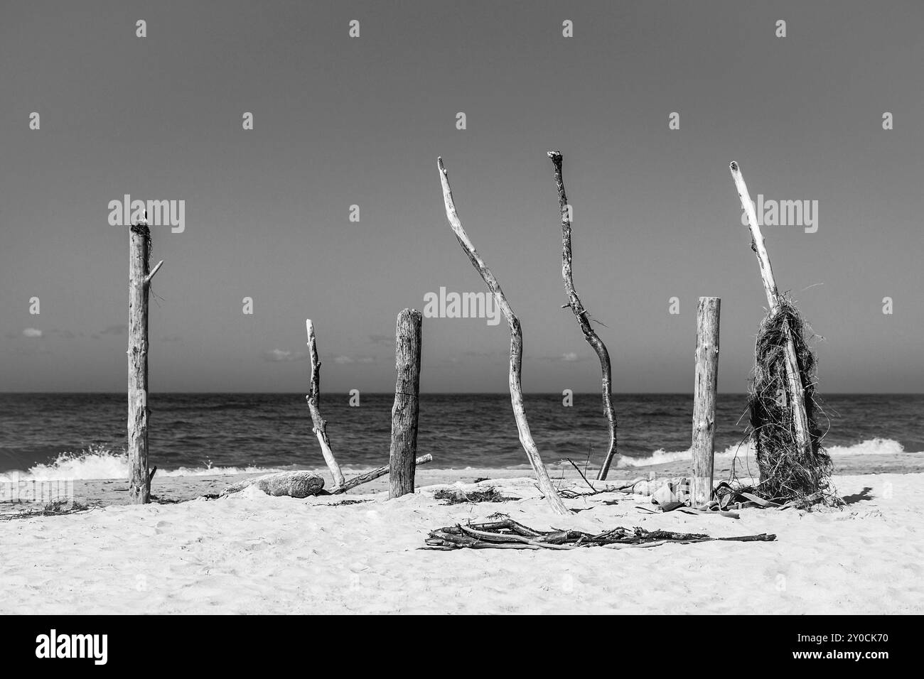 Funde an der Ostseeküste Stockfoto