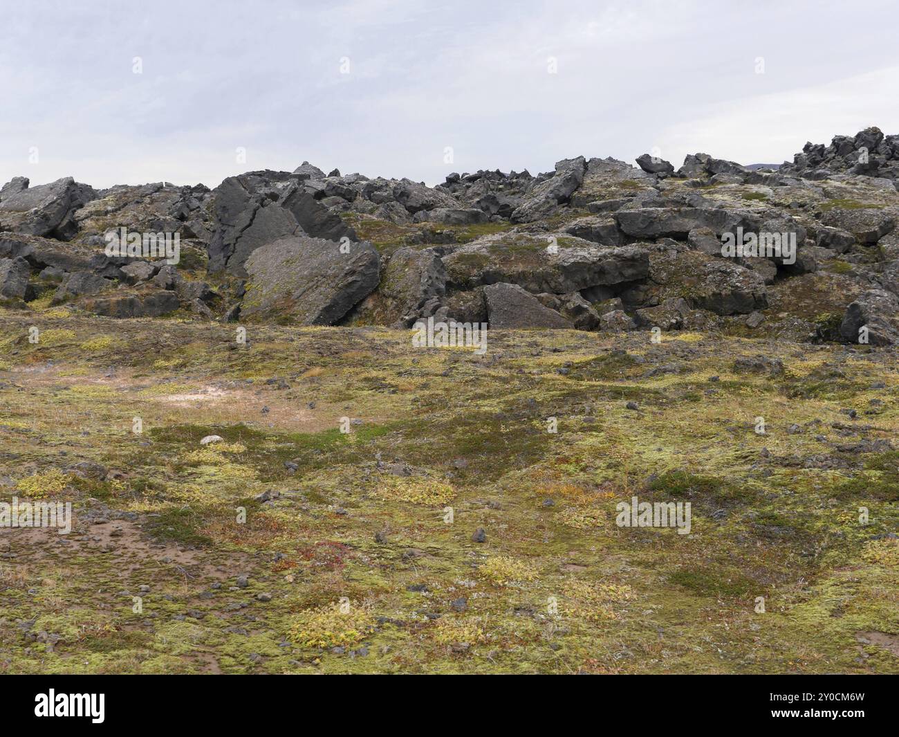 Lavafeld am aktiven Vulkan Leirhnjukur in Island Stockfoto