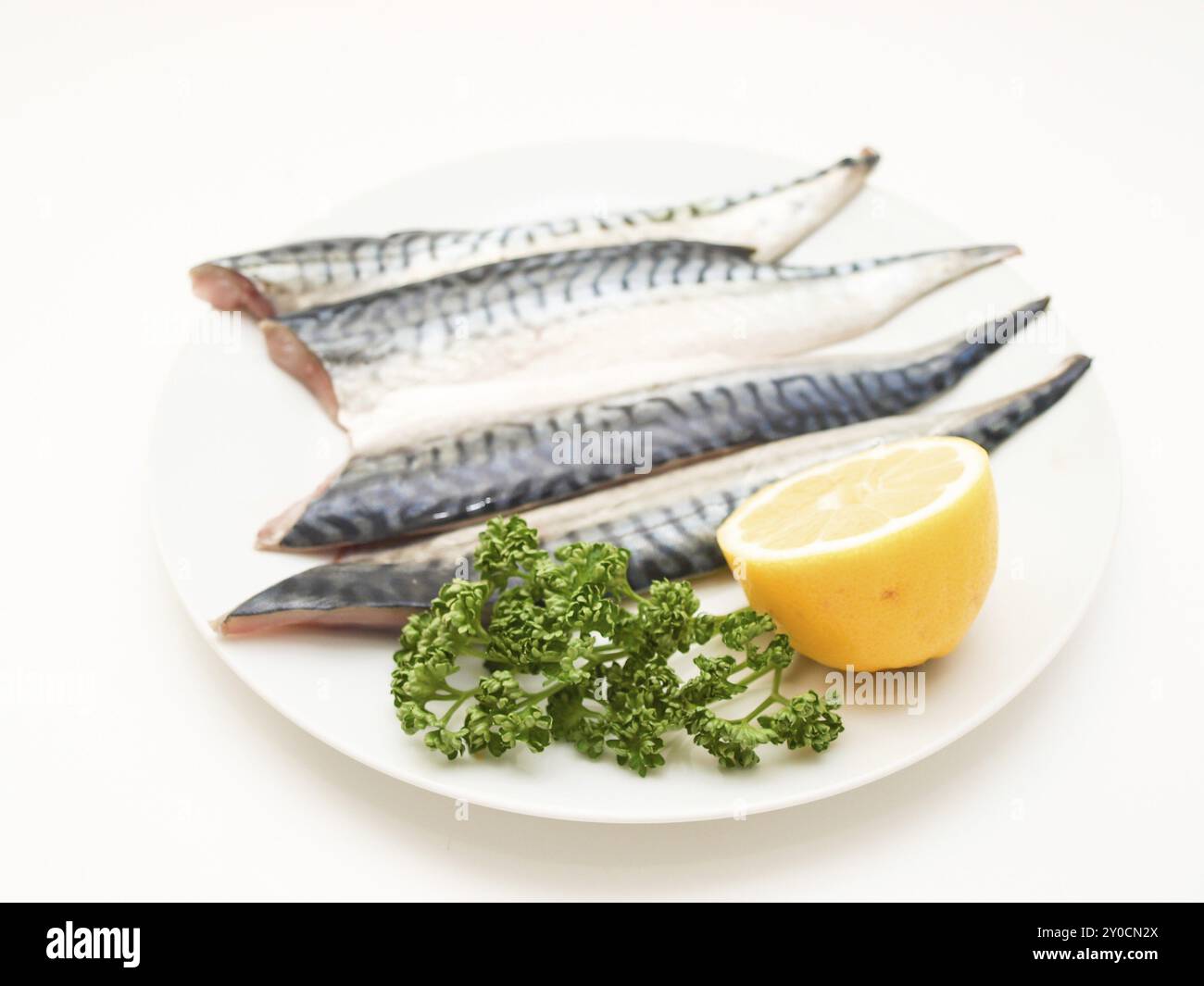 Rohes Makrelenfilet mit einer halben Zitrone und grüner Petersilie auf weißem Teller Stockfoto