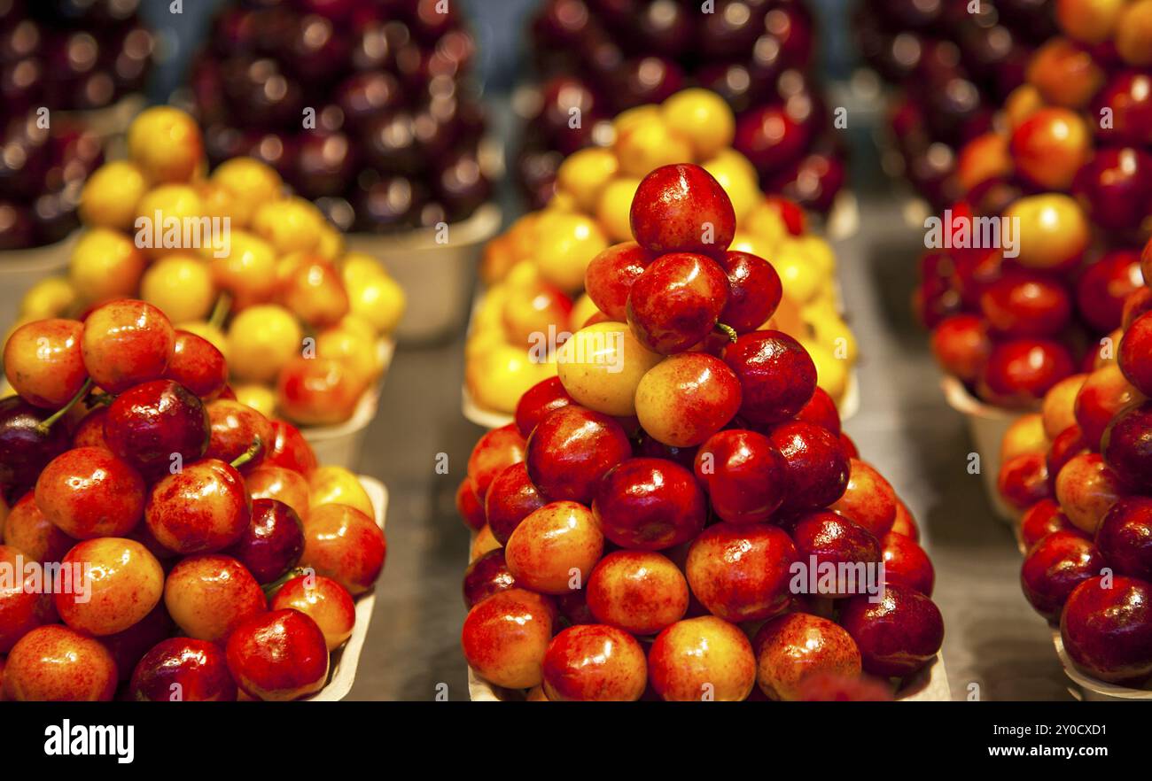 Beeren und Früchte auf einem öffentlichen Markt in Vancouver, Kanada Stockfoto