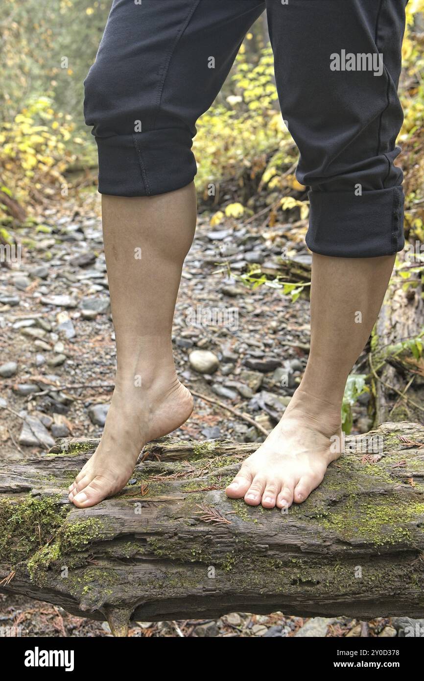 Eine Nahaufnahme von Beinen und Füßen einer Frau, die auf einem Baumstamm in der Natur steht und die Vorteile der Erdung, auch bekannt als Erdung, hat Stockfoto