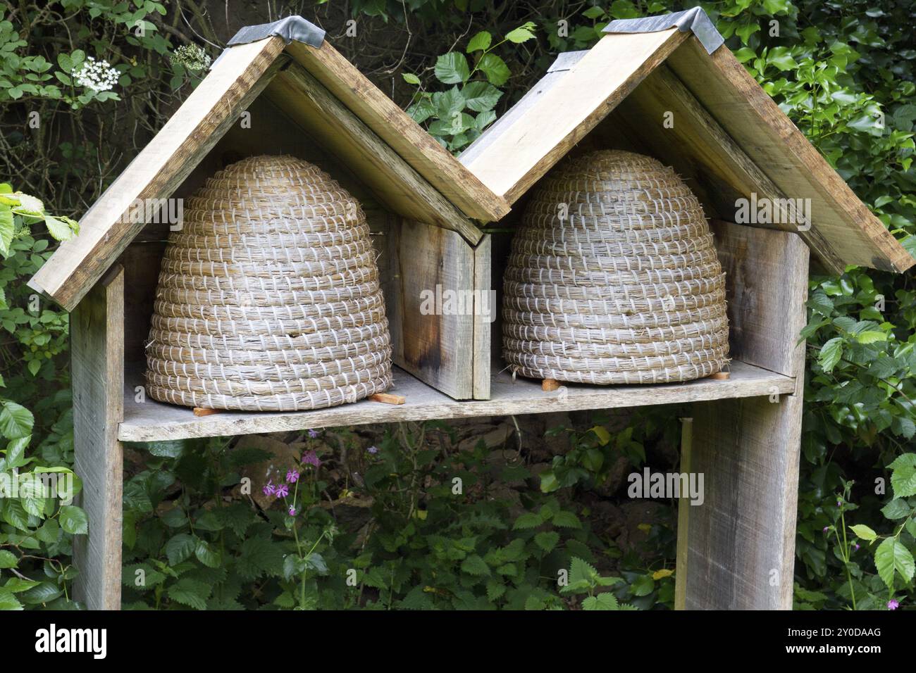 Zwei Bienenstöcke ohne Bienen Stockfoto