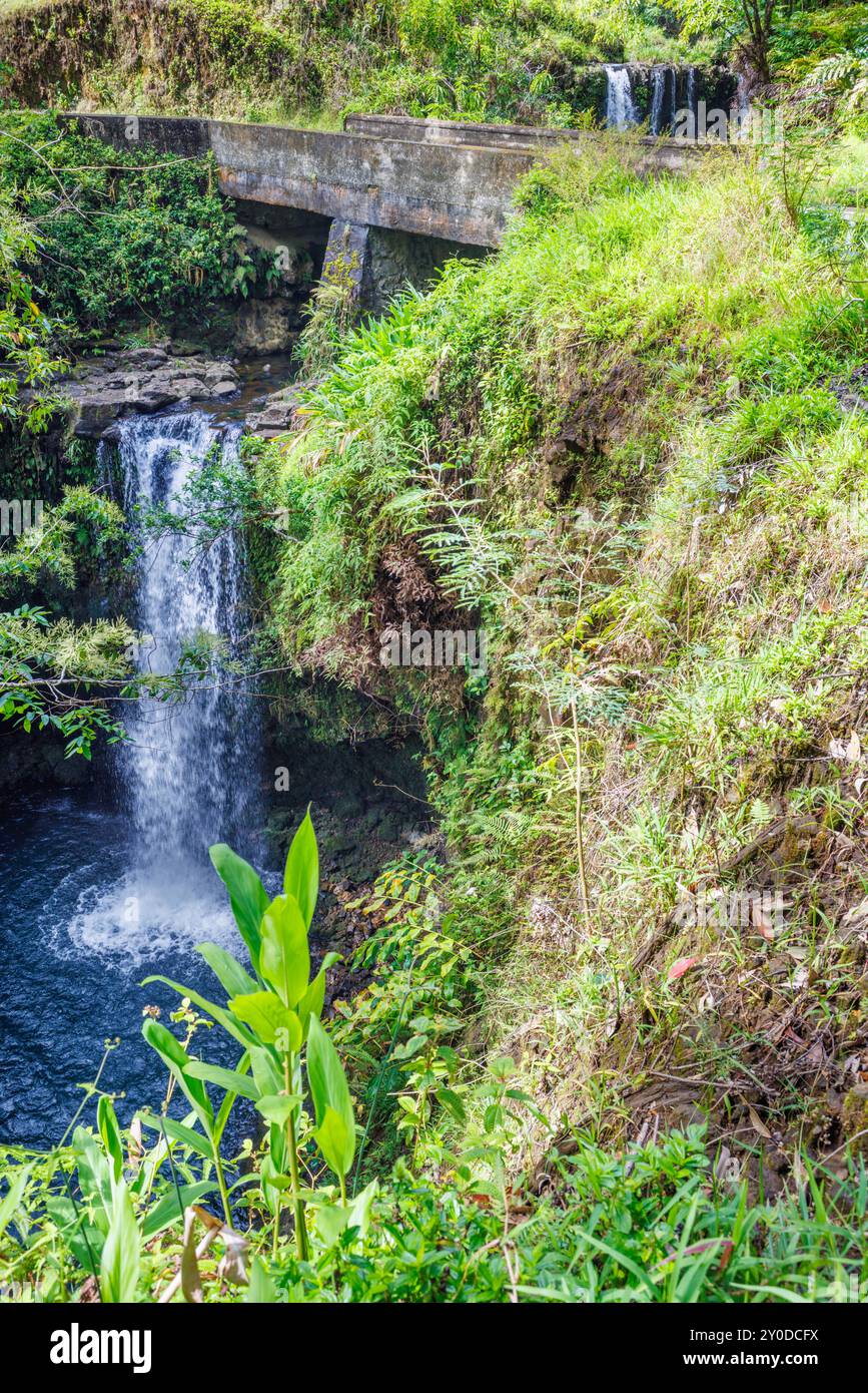 Eine der 52 Brücken und ein Wasserfall auf der Straße nach Hana im Puaa Kaa State Wayside Park, Maui, Hawaii, USA. Stockfoto