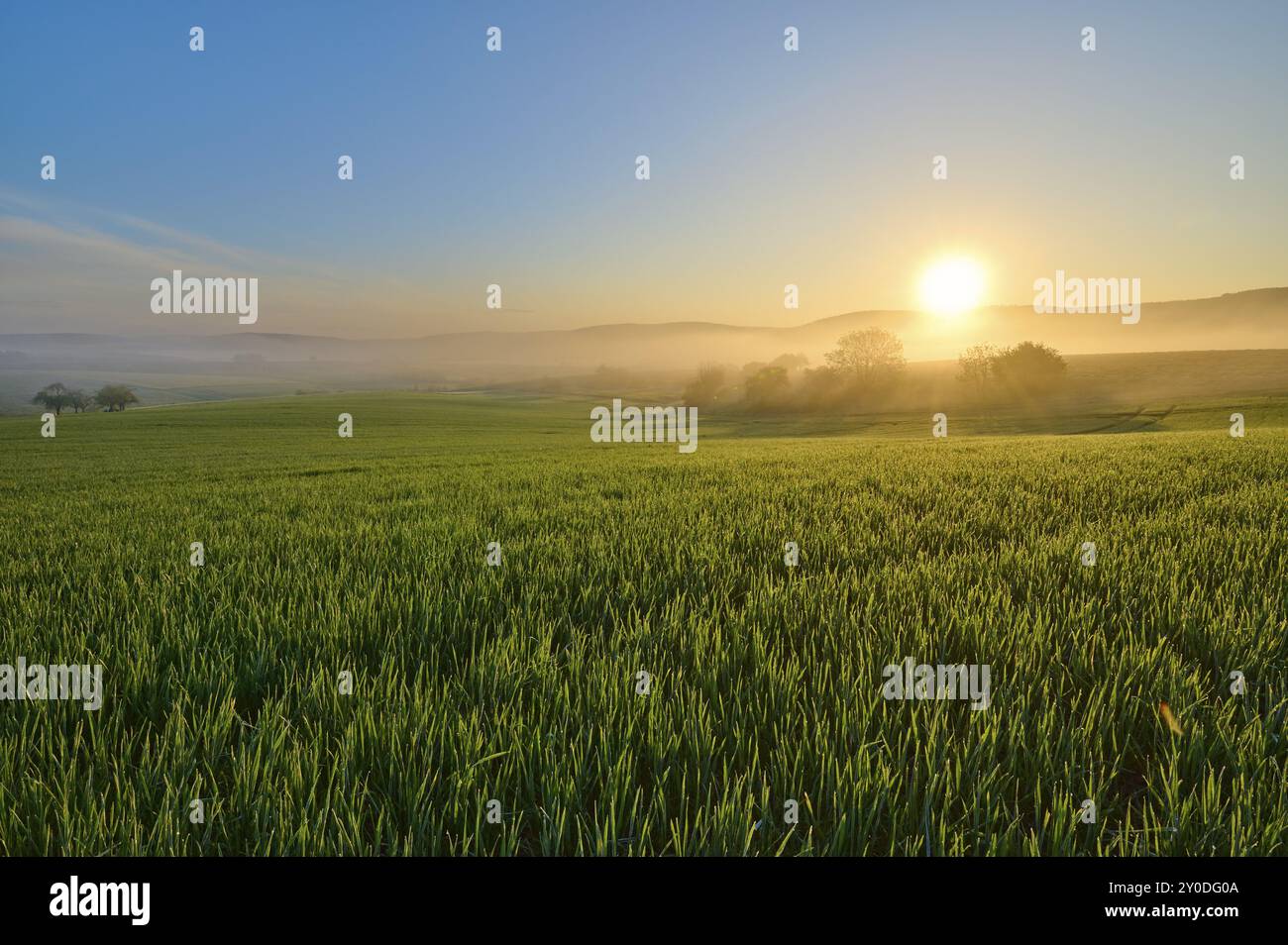 Ein malerischer Sonnenaufgang über einem breiten grünen Feld und einer sanften Hügellandschaft, Mönchberg, Mltenberg, Spessart, Bayern, Deutschland, Europa Stockfoto