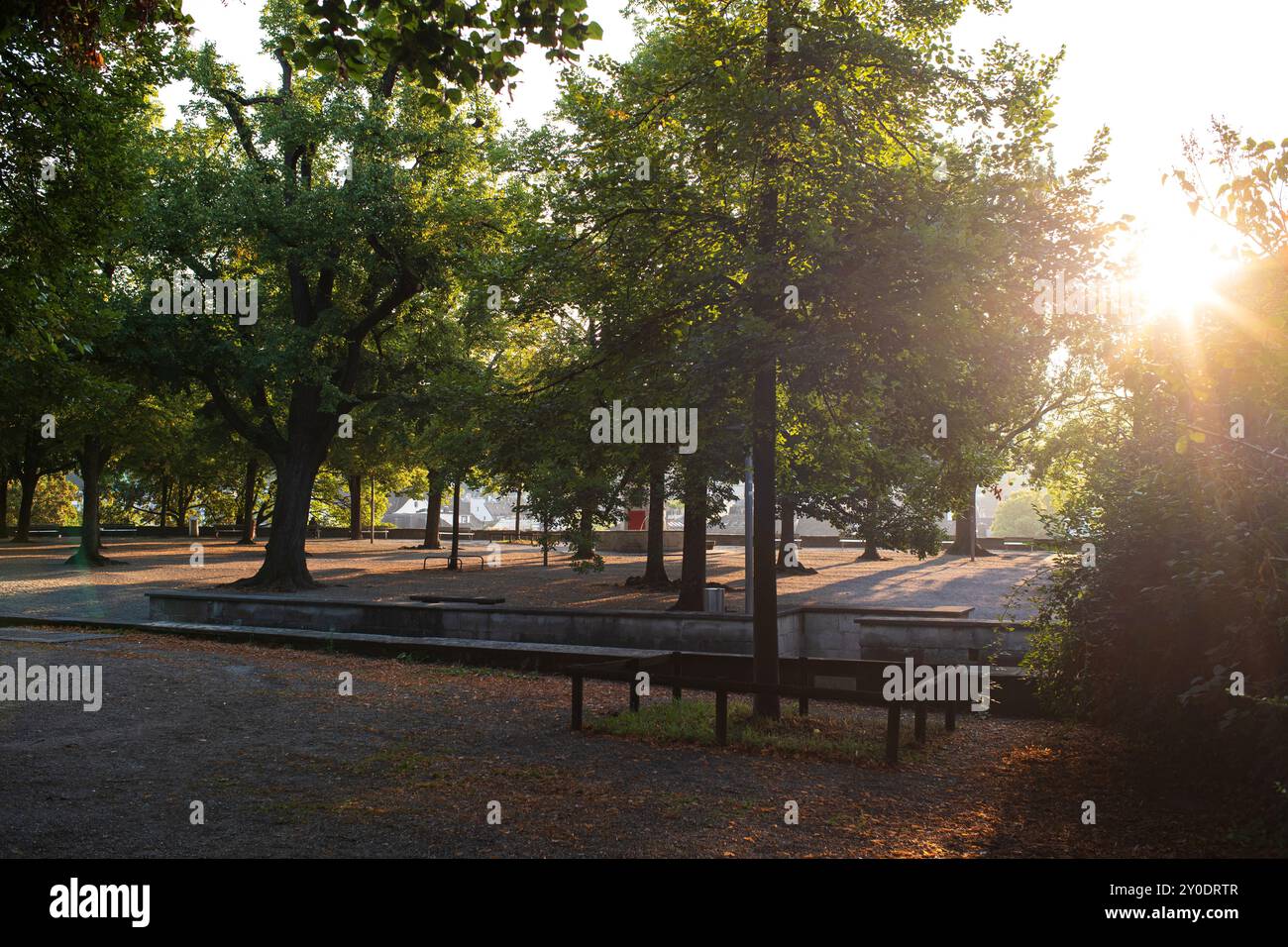 Bäume in einem Park, beleuchtet von der aufgehenden Sonne in einer Stadt in Europa. Sonnenstrahlen und Baumsilhouetten, keine Leute. Stockfoto