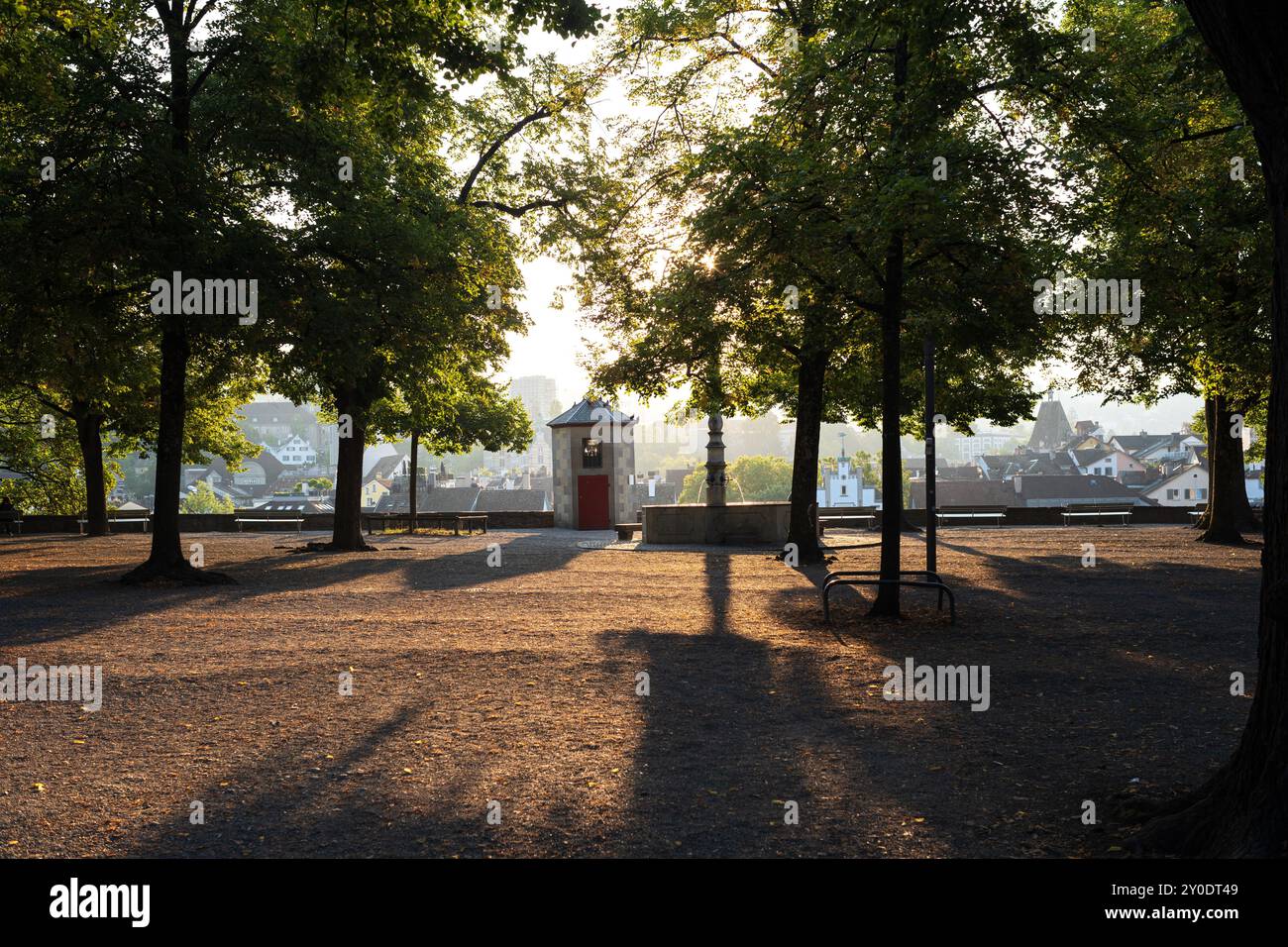 Bäume in einem Park, beleuchtet von der aufgehenden Sonne in einer Stadt in Europa. Sonnenstrahlen und Baumsilhouetten, keine Leute. Stockfoto