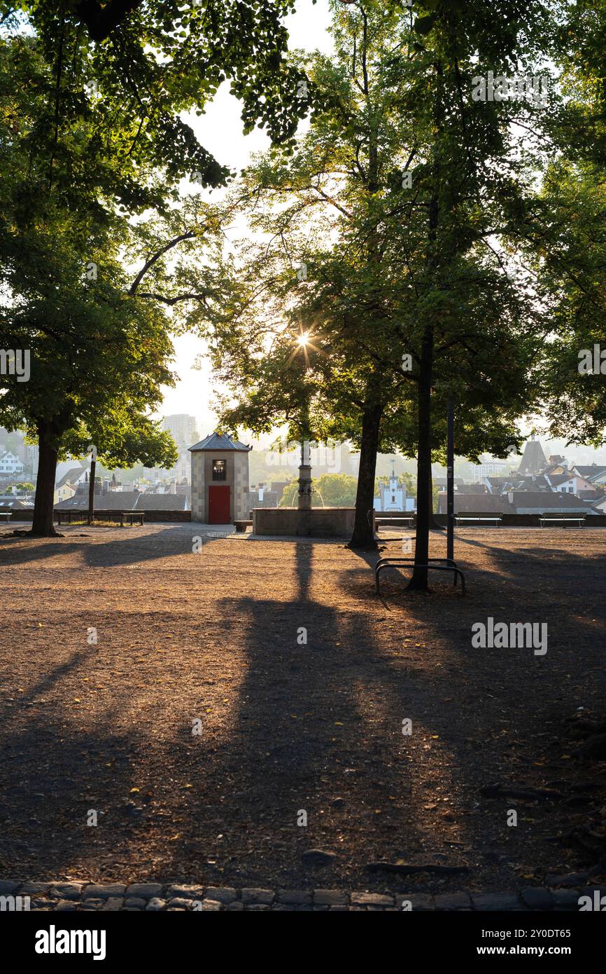 Bäume in einem Park, beleuchtet von der aufgehenden Sonne in einer Stadt in Europa. Sonnenstrahlen und Baumsilhouetten, keine Leute. Stockfoto