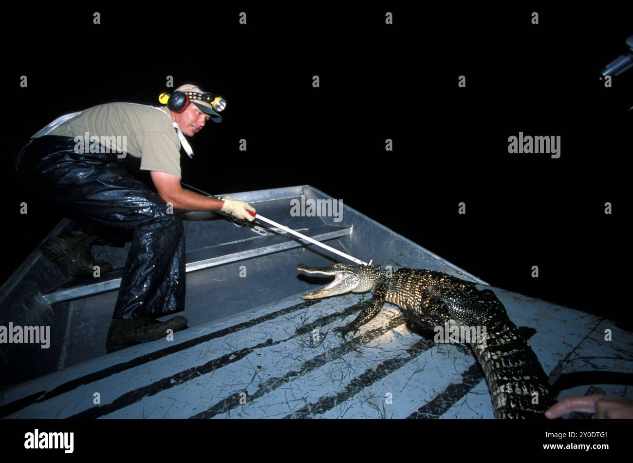 Feuchtgebiete von Louisiana Stockfoto