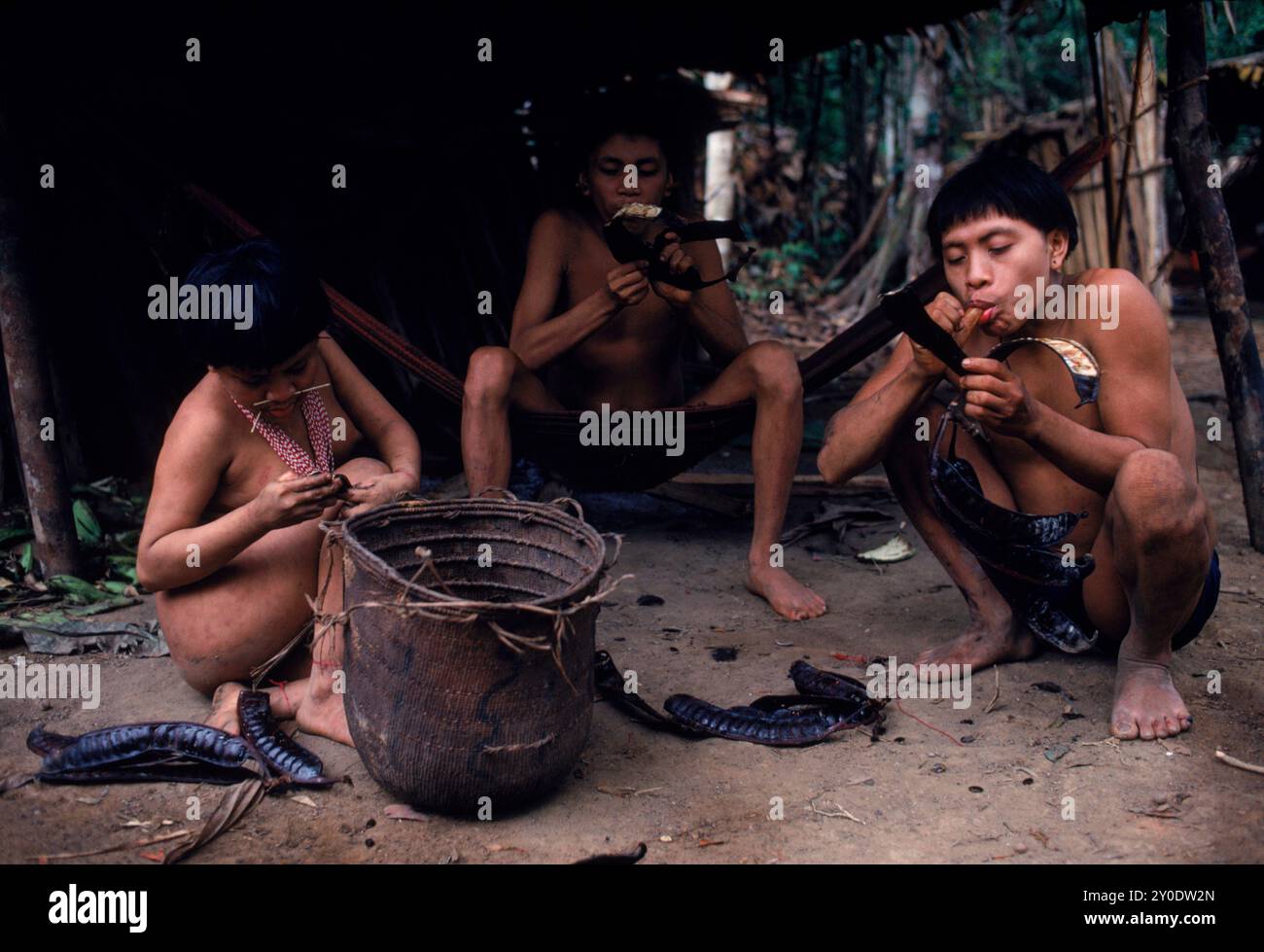 Hasubueteri, Amazon, Venezuela Stockfoto