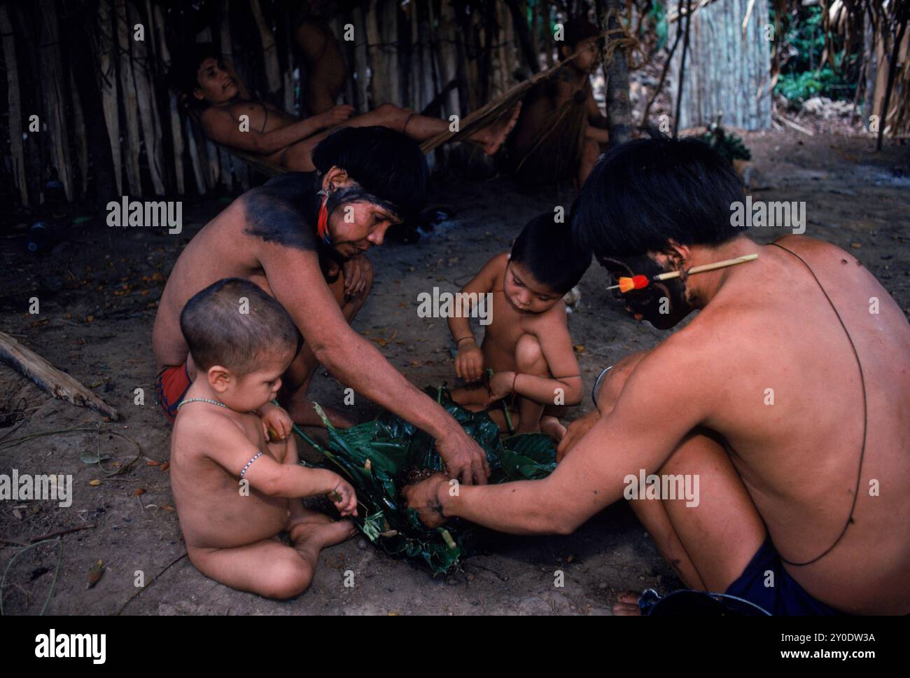 Hasubueteri, Amazon, Venezuela Stockfoto