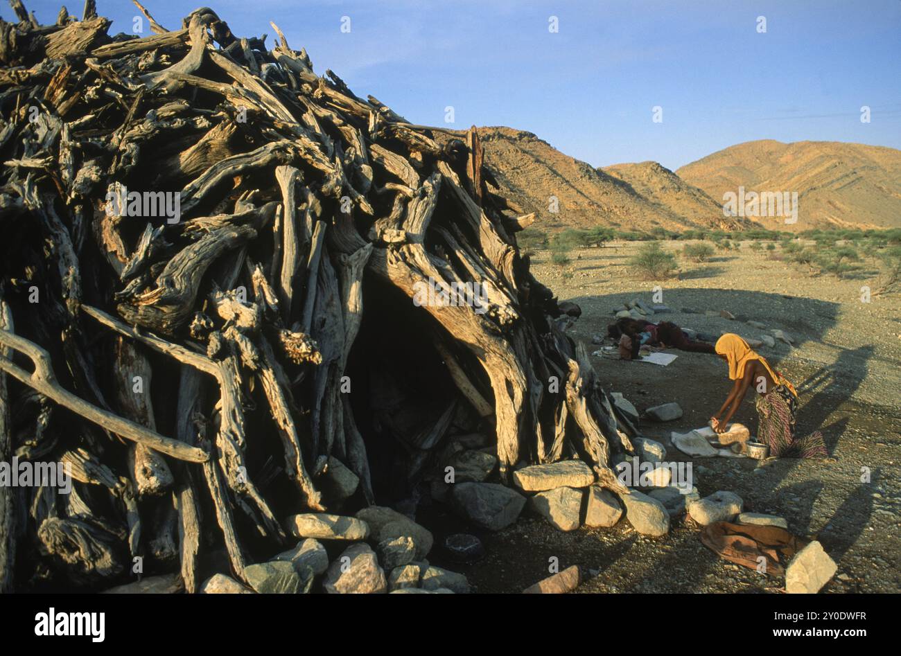 Frau mahlt Getreide auf einem Schleifstein vor ihrer Hütte aus toten Holzzweigen, Eritrea. Stockfoto