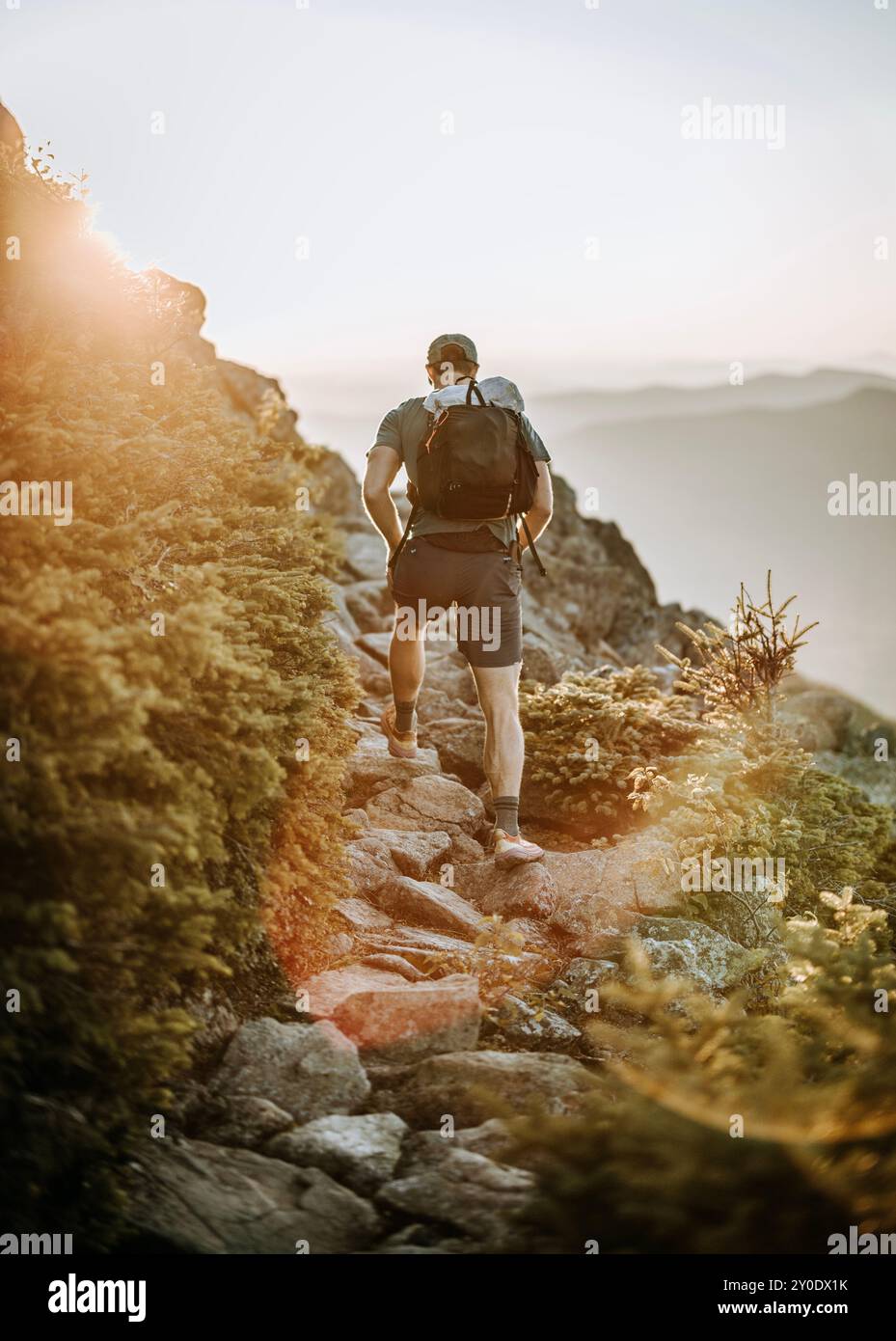 Wanderer mit Rucksack über Baumgrenze in White Mountains, NH Sunst Stockfoto