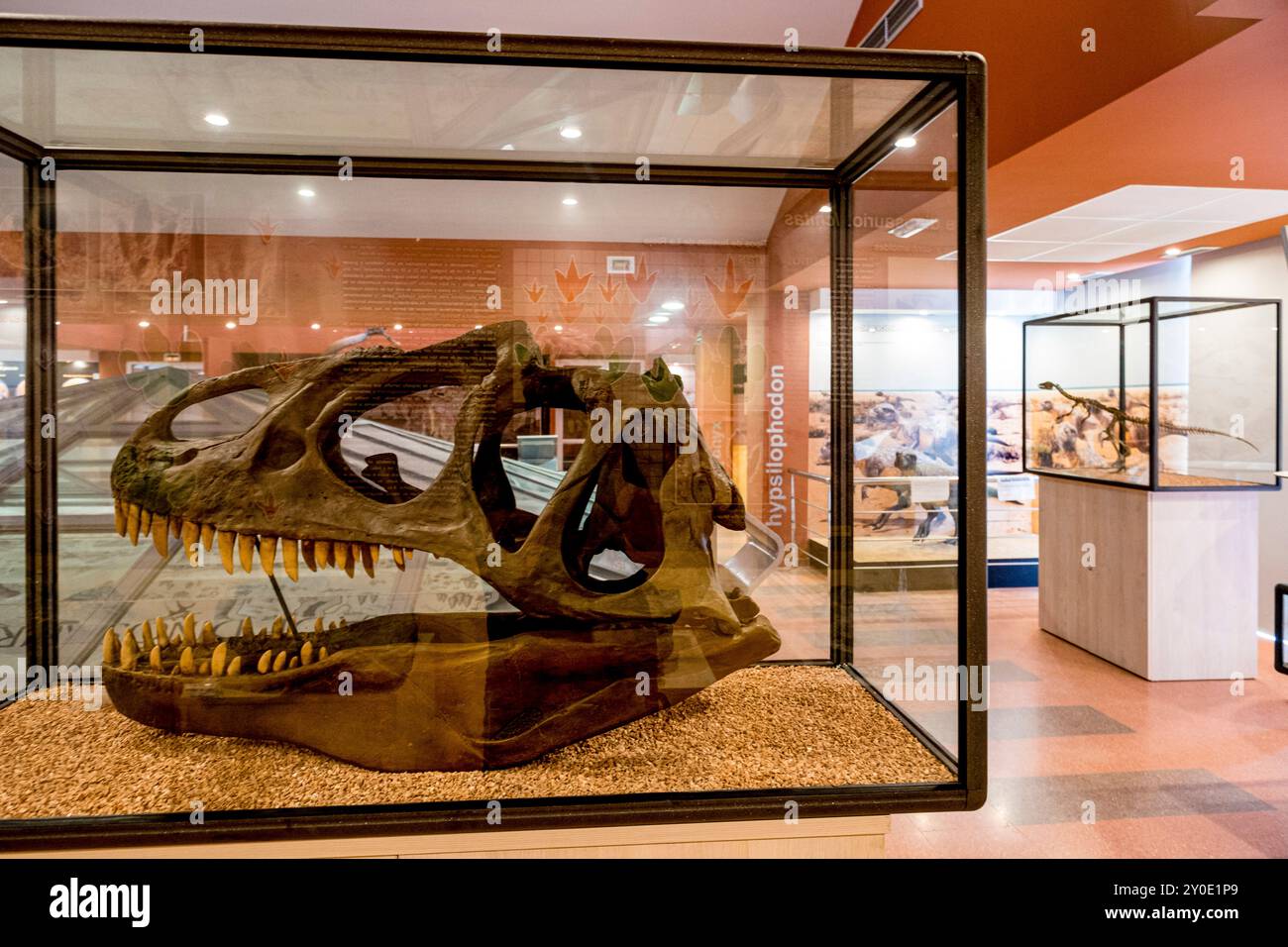 La Rioja Paläontologisches Interpretationszentrum, Igea, La Rioja, Spanien, Europa Stockfoto