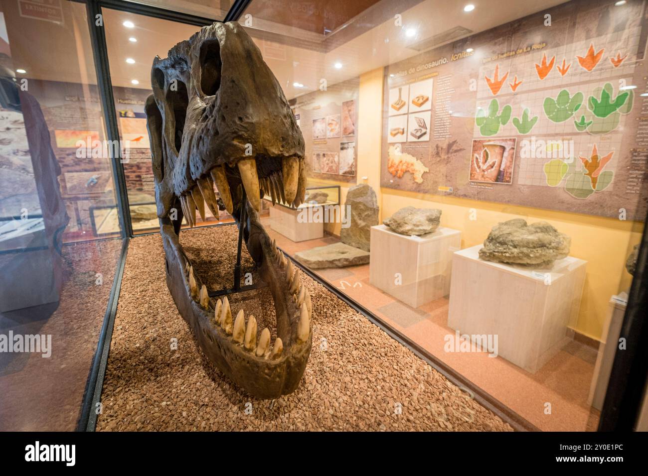 La Rioja Paläontologisches Interpretationszentrum, Igea, La Rioja, Spanien, Europa Stockfoto