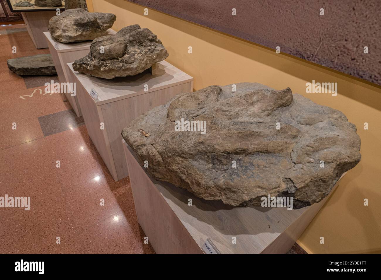 Icnites, Paläontologisches Interpretationszentrum von La Rioja, Igea, La Rioja, Spanien, Europa Stockfoto