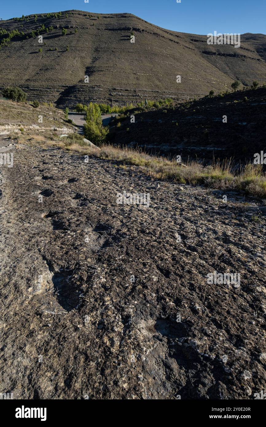 Dinosaurierspuren, Valdecevillo Site, Enciso, La Rioja, Spanien, Europa Stockfoto
