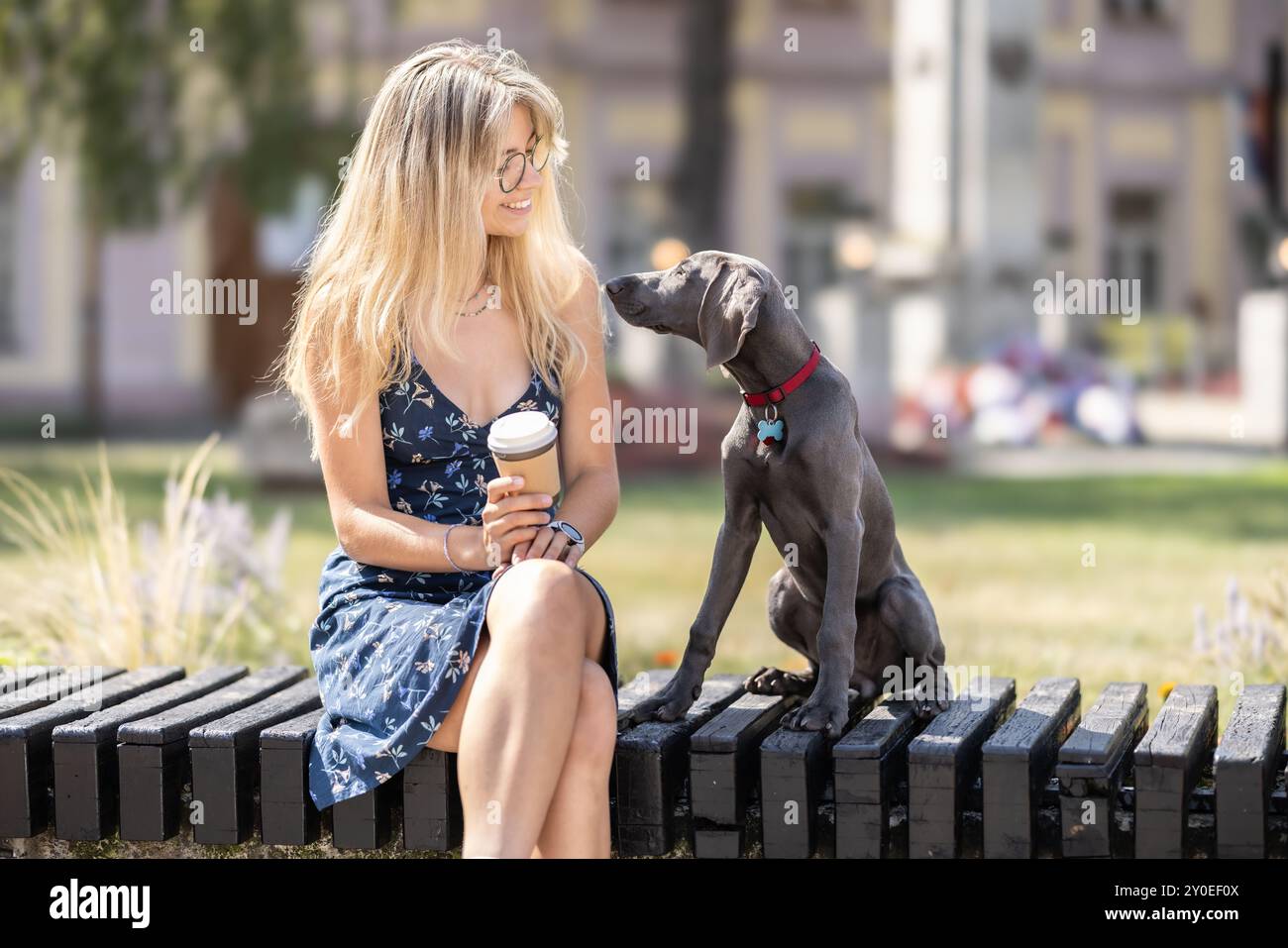 Eine junge Frau sitzt in einem Stadtpark mit ihrem Hund, einem Weimaraner. Stockfoto
