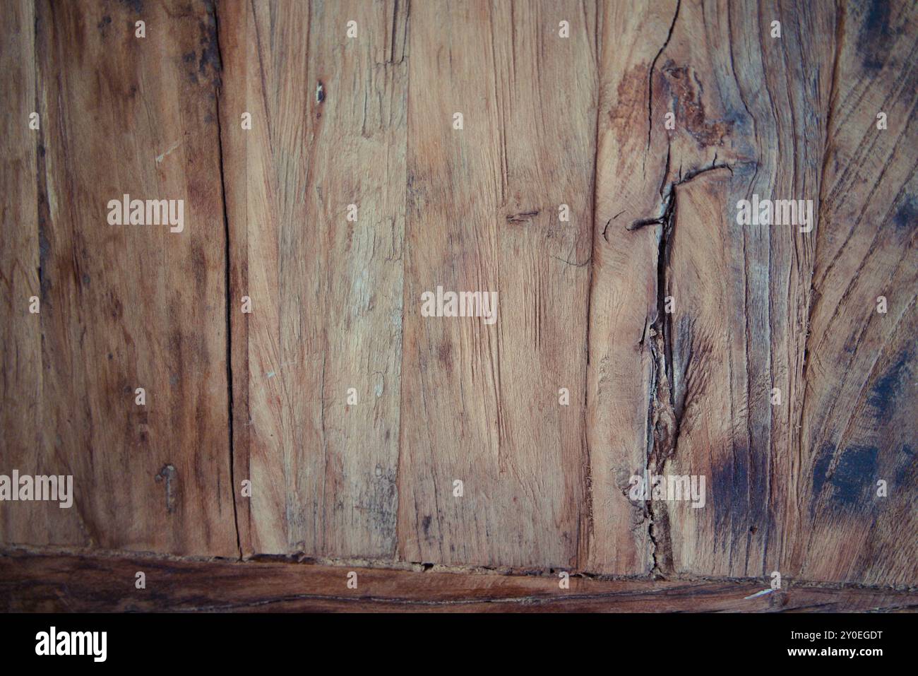 Abstrakte Nahaufnahme von Holzmaserung: Detaillierte Texturen und natürliche Muster Stockfoto