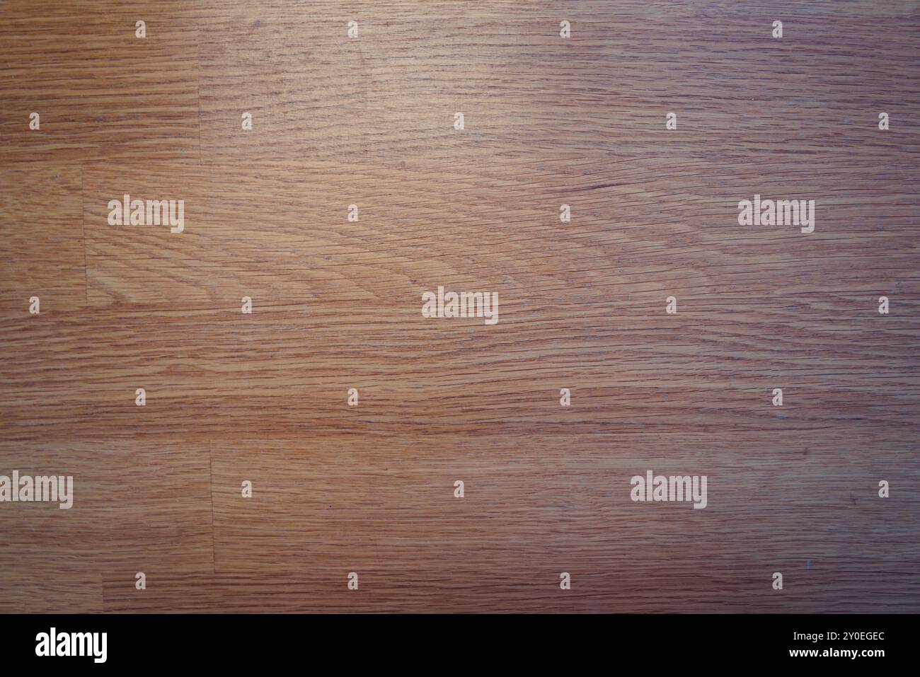 Abstrakte Nahaufnahme von Holzmaserung: Detaillierte Texturen und natürliche Muster Stockfoto