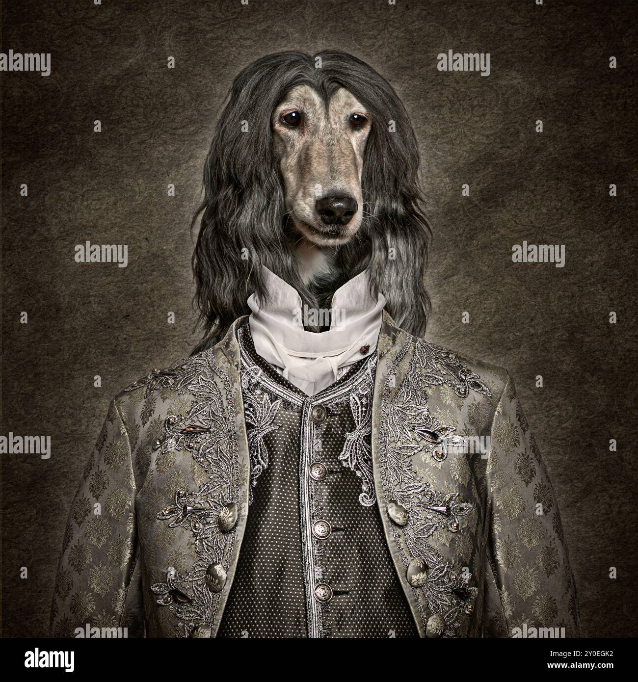 Hund mit Louis XIV., Royal, Vintage-Kleidung auf dunklem Retro-Hintergrund Stockfoto