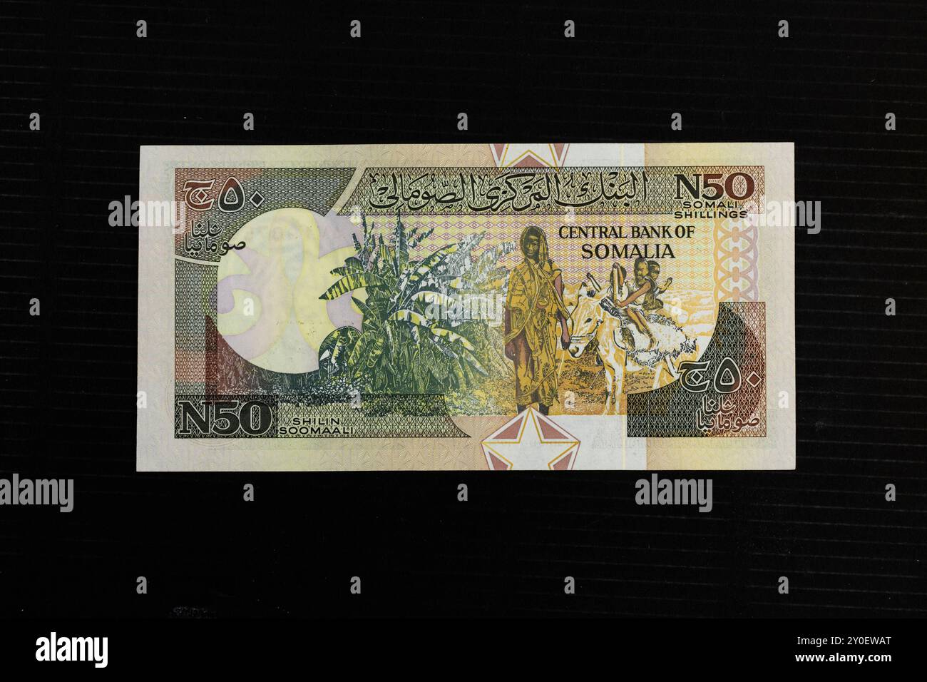 50 neue somalische Schilling/N-Shilin Soomaali-Banknote mit einem Mann mit Kindern auf einem Eselporträt Stockfoto