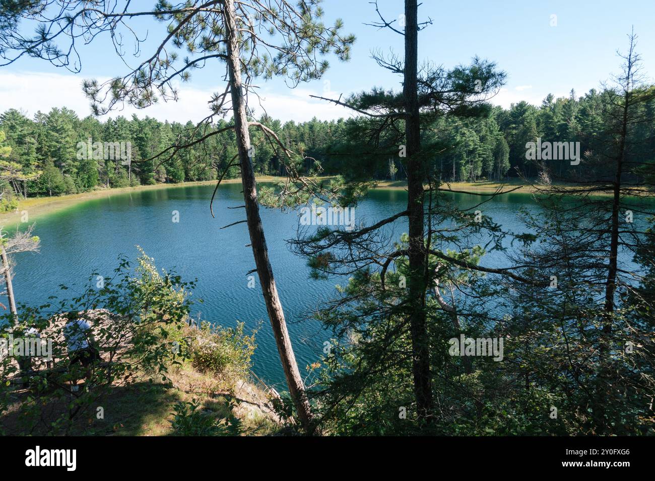 Der McGinnis Lake, der sich im Petroglyphs Provincial Park befindet, ist einer der wenigen meromiktischen Seen in Kanada, bekannt für seine lebhaften Farben aufgrund der nicht-Inter-Seen Stockfoto