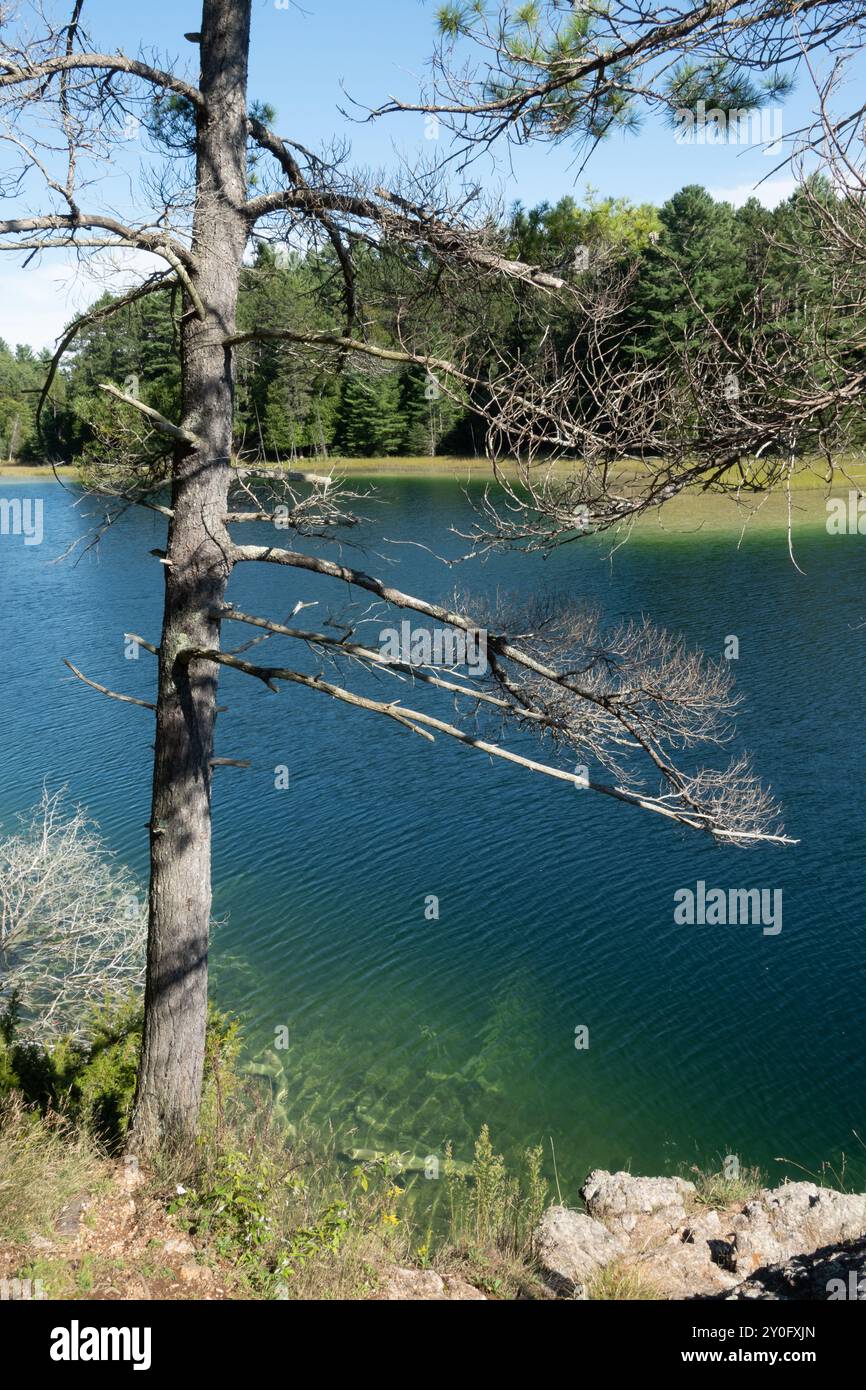Der McGinnis Lake, der sich im Petroglyphs Provincial Park befindet, ist einer der wenigen meromiktischen Seen in Kanada, bekannt für seine lebhaften Farben aufgrund der nicht-Inter-Seen Stockfoto