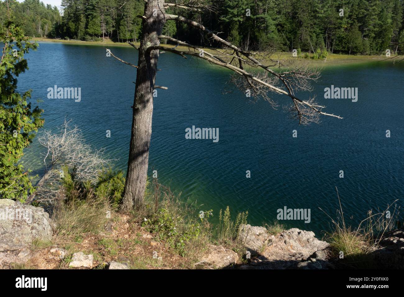 Der McGinnis Lake, der sich im Petroglyphs Provincial Park befindet, ist einer der wenigen meromiktischen Seen in Kanada, bekannt für seine lebhaften Farben aufgrund der nicht-Inter-Seen Stockfoto