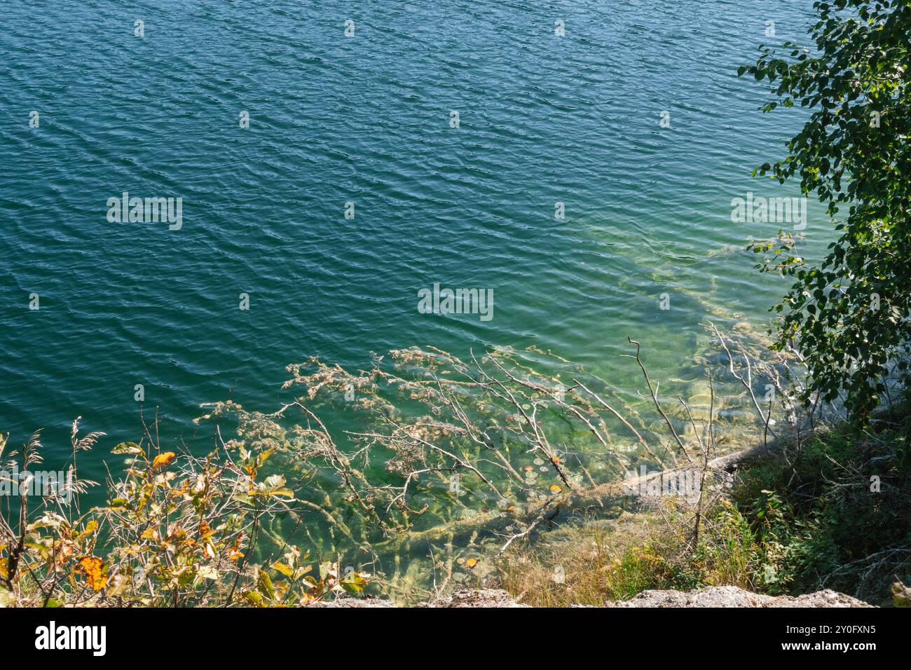 Der McGinnis Lake, der sich im Petroglyphs Provincial Park befindet, ist einer der wenigen meromiktischen Seen in Kanada, bekannt für seine lebhaften Farben aufgrund der nicht-Inter-Seen Stockfoto