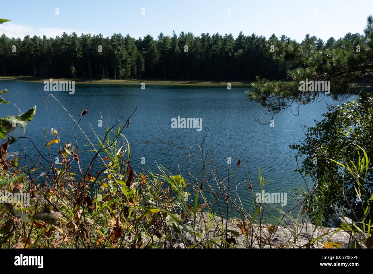 Der McGinnis Lake, der sich im Petroglyphs Provincial Park befindet, ist einer der wenigen meromiktischen Seen in Kanada, bekannt für seine lebhaften Farben aufgrund der nicht-Inter-Seen Stockfoto