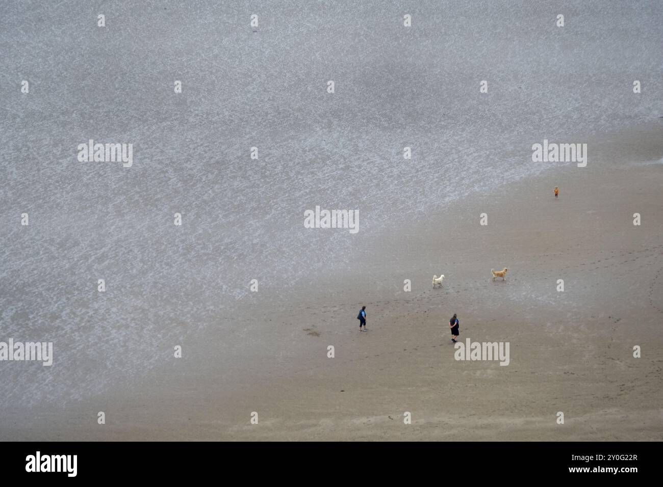 Zwei Personen, die mit Hunden an einem englischen Strand spazieren gehen. Stockfoto