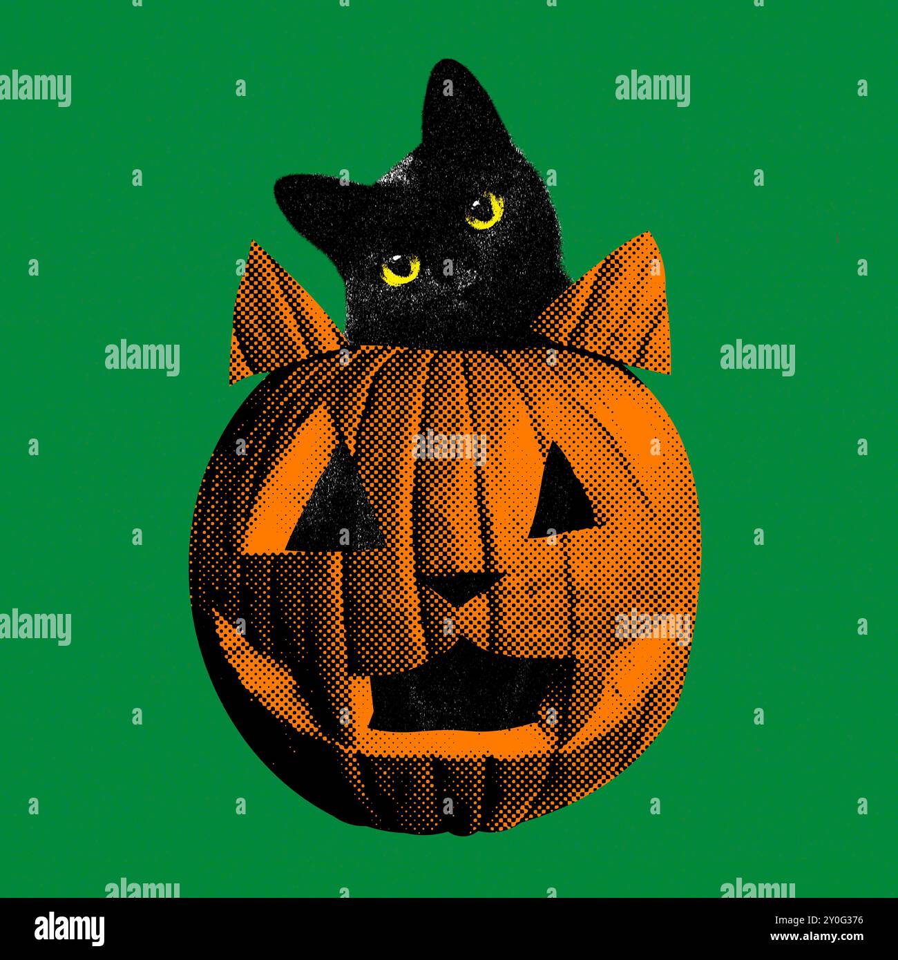 Moderne Halloween-Collage, schwarze Katze, die in einem Kürbis auf grünem Hintergrund sitzt, sieht aus wie das Gesicht der Katze Stockfoto