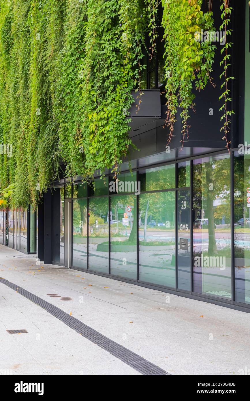 Calwer Passage, grüne Fassade für bessere Stadtklima. Vom Büro ingenhoven Associates stammen die Entwürfe für die Fassade. Eigentümer ist die Versicherungskammer München. Ankermieter ist die Anwaltskanzlei CMS. // 17.08.2024: Stuttgart, Baden-Württemberg, Deutschland *** Calwer Passage, grüne Fassade für ein besseres Stadtklima die Fassade wurde von ingenhoven-Mitarbeitern entworfen Eigentümer ist die Versicherungskammer München Ankermieter ist die Anwaltskanzlei CMS 17 08 2024 Stuttgart, Baden Württemberg, Deutschland Stockfoto