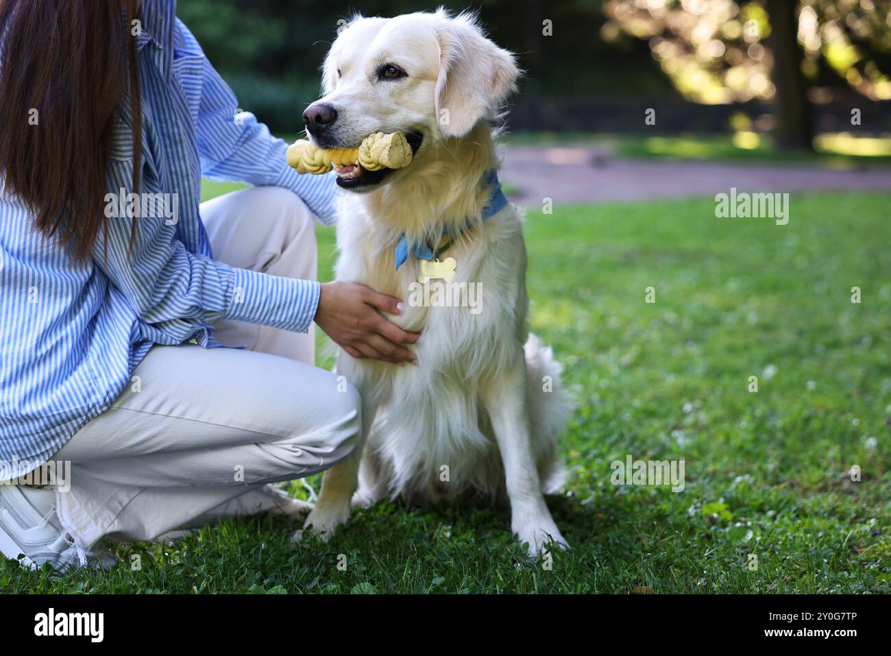 Besitzer mit niedlichem Golden Retriever Hund draußen, Nahaufnahme. Leerzeichen für Text Stockfoto