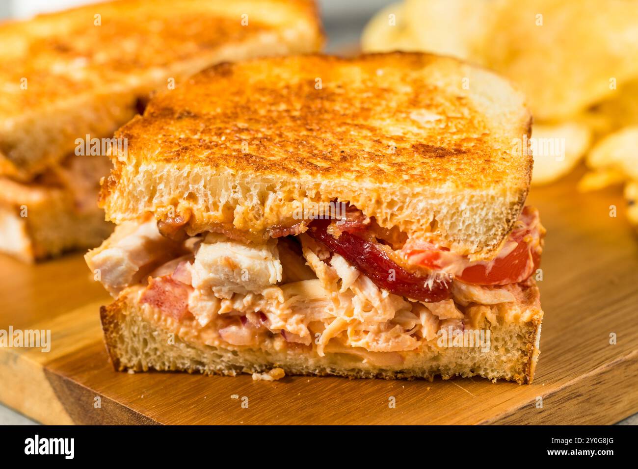 Scharfes hausgemachtes Chipotle Chicken Sandwich Panini mit Speck und Tomaten Stockfoto