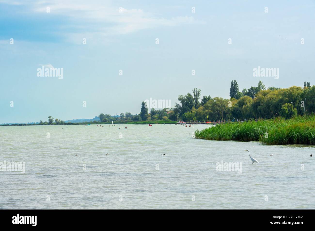 Wunderschöne Landschaft am Balaton mit Schilf Stockfoto