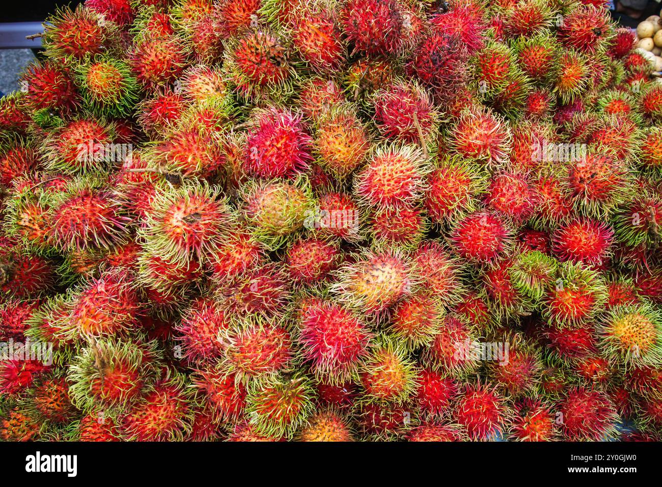 Frisches Rambutan-Obst auf einem malaysischen Straßenmarkt Stockfoto