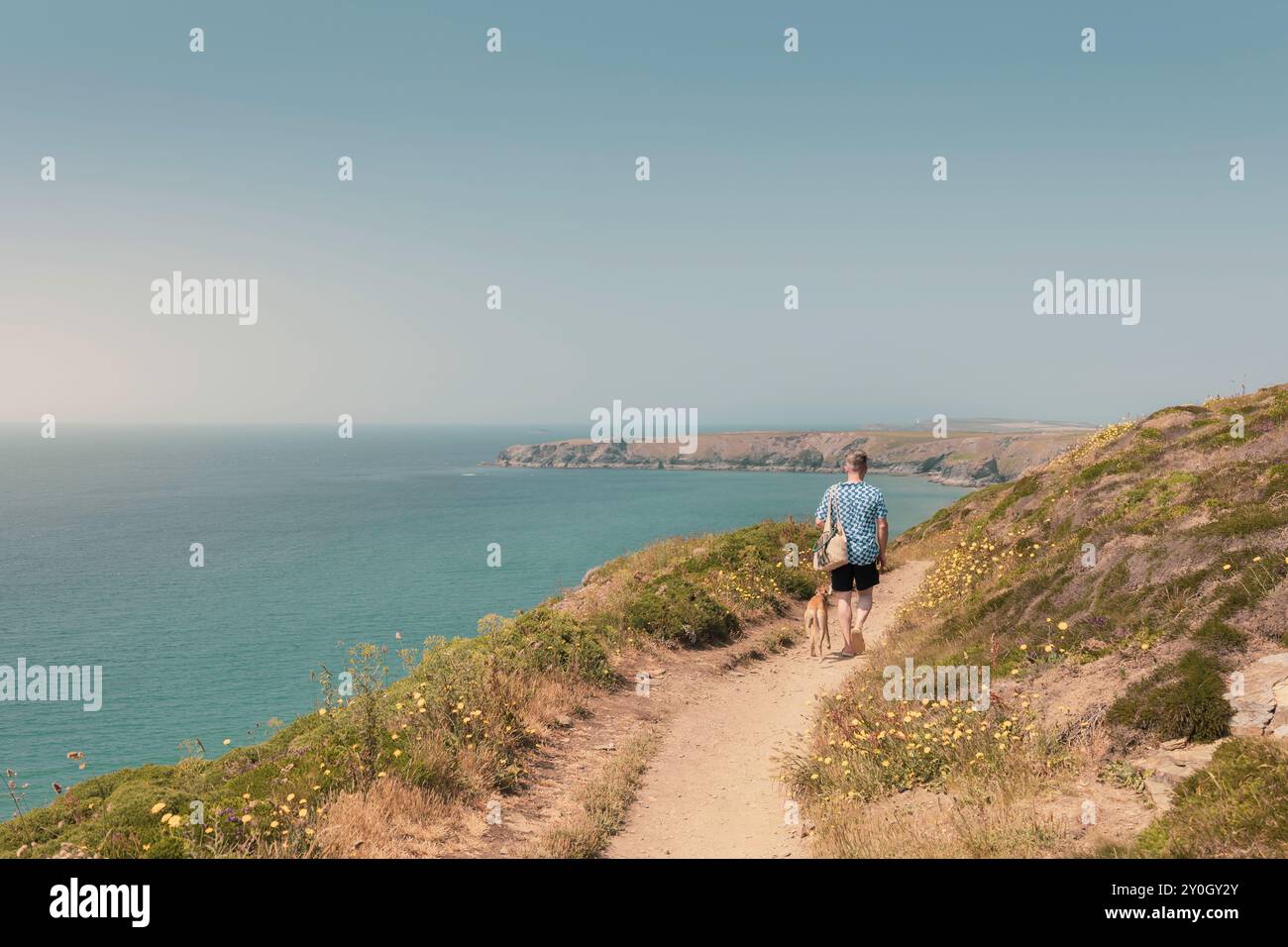 Kaukasische Freizeitkleidung Mann, der Whippet Hund entlang der Klippen Küstenpfad in Richtung Bedruthan Treppen mit atemberaubendem Meerblick an einem sonnigen Sommertag wandert Stockfoto