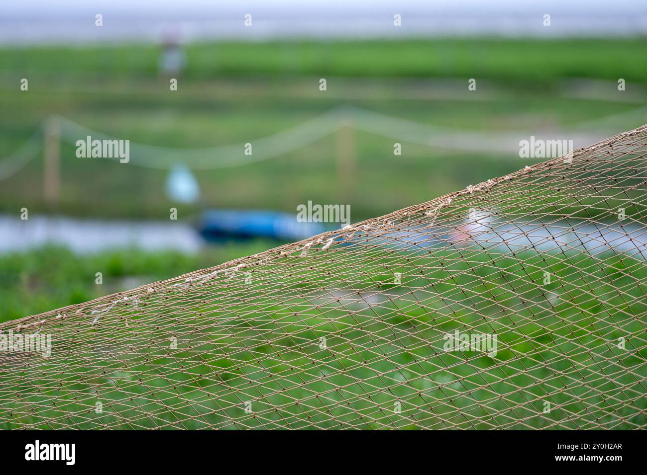Ein Fischernetz liegt am Rande eines ruhigen grünen Feldes am Wasser und zeigt die natürliche Schönheit. Stockfoto
