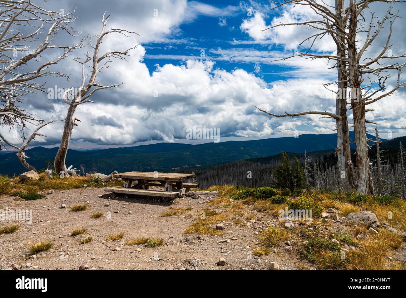 Picknicktisch umgeben von toten Bäumen am Rande einer Klippe am Mount Hood, Oregon, USA Stockfoto