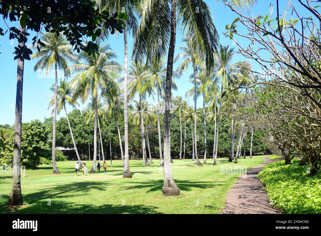 George Brown Darwin Botanic Gardens, The Gardens, City of Darwin, Northern Territory, Australien Stockfoto